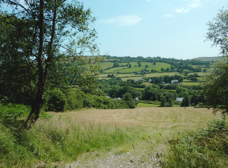 Teifi Valley view 4
